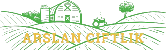 Logo2
